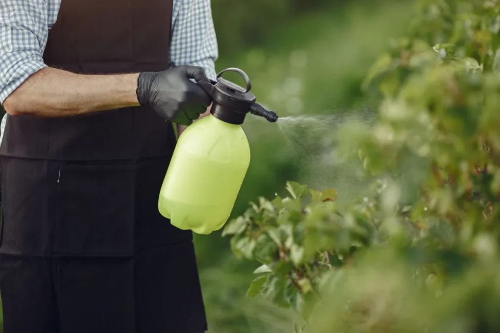 power sprayer - Panduan Power Sprayer: Fungsi, Jenis, dan Aplikasi Industri